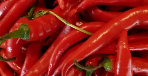 Can capsaicin help with itching?